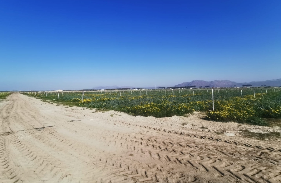 Commercial Property for Sale in Schaap Kraal Western Cape